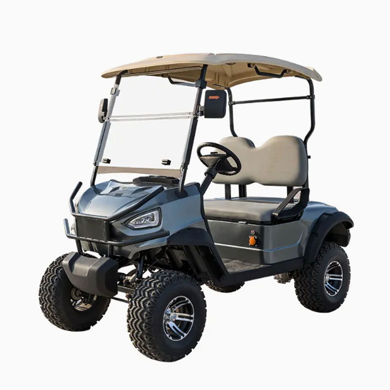 2 Person Golf Cart