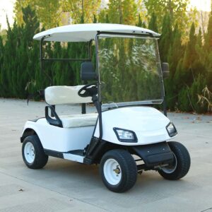 Golf Carts