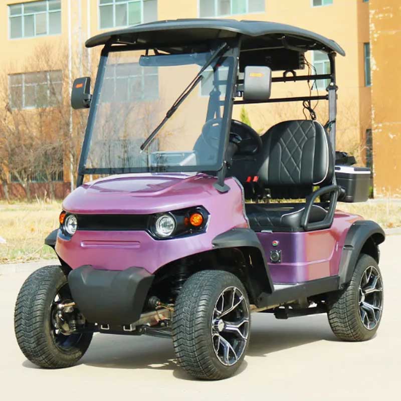 Two Person Golf Cart