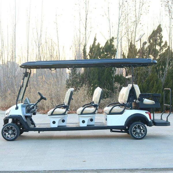D6+2zhutu-1 electric golf cart