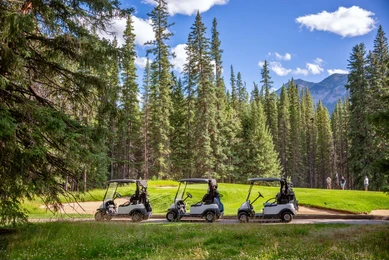 gasoline golf carts vs electric golf carts