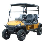 Custom Electric Golf Cart Checklist for Seating, Roofs, Accessories, and Branding