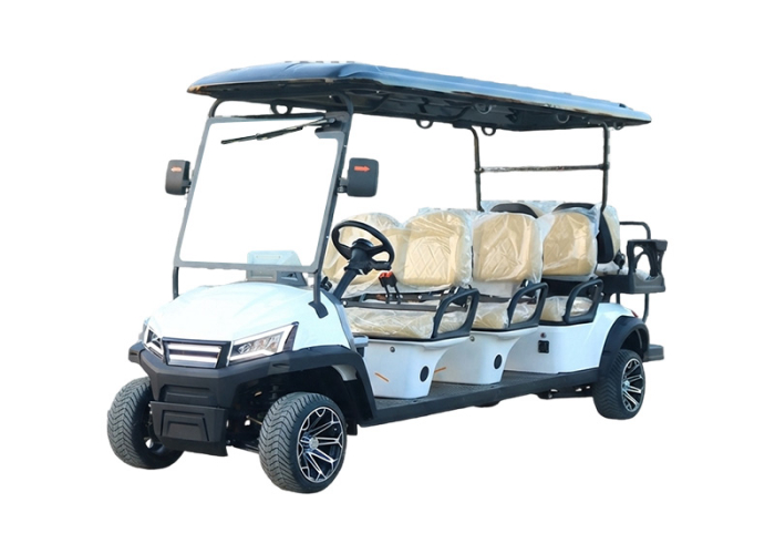 branded electric golf cart lineup prepared for fleet delivery