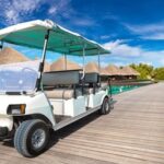Electric Golf Cart Maintenance Checklist for Batteries, Tires, Brakes, and Charging