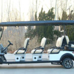 Electric Golf Cart Pre-Delivery Inspection Checklist for Fleet Buyers