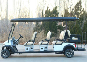 D type electric golf cart prepared for premium resort and club transport