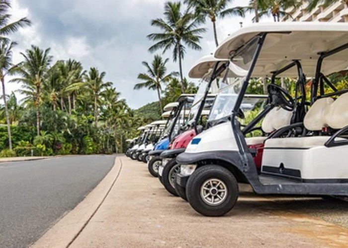 hotel electric golf cart operations