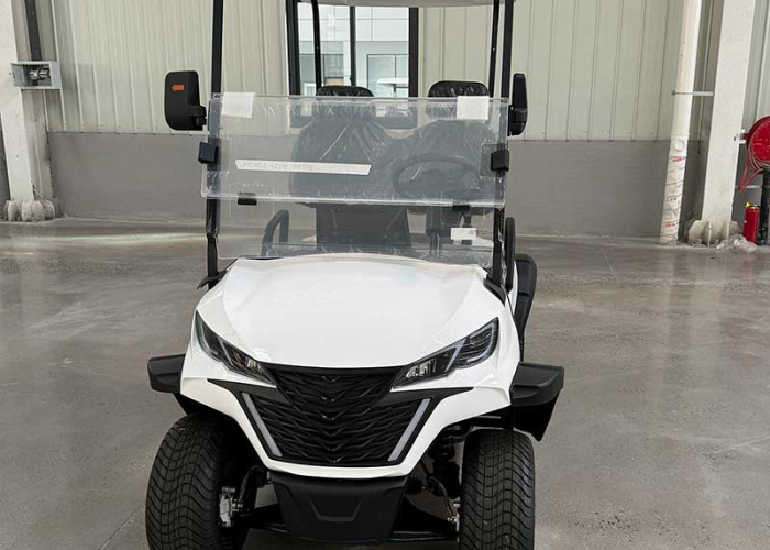 2 seater electric golf cart reviewed for tool storage, route access, and operator comfort