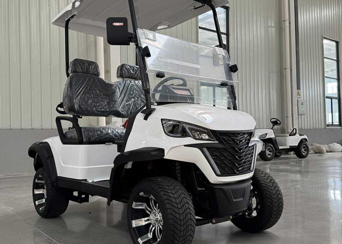 2 seater electric golf cart staged after maintenance route planning and inspection review