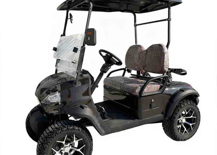 utility electric golf cart cargo area reviewed for tools cleaning supplies and route access