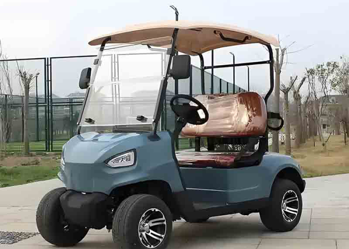 electric golf cart tires inspected for pavement turf and gravel routes