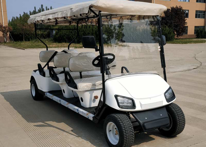 electric golf cart fleet staged for container loading and delivery acceptance planning